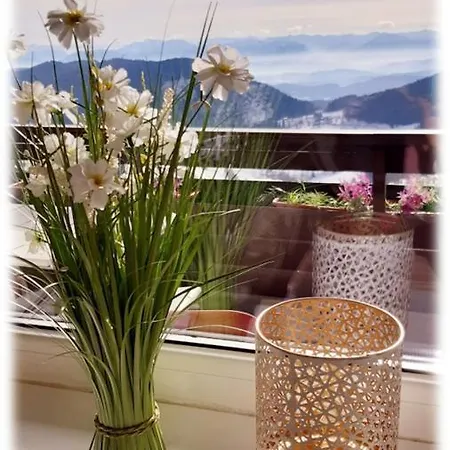 The View Zirkitz