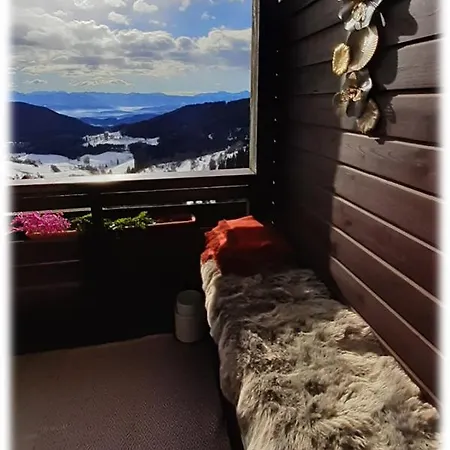 Apartment The View Zirkitz
