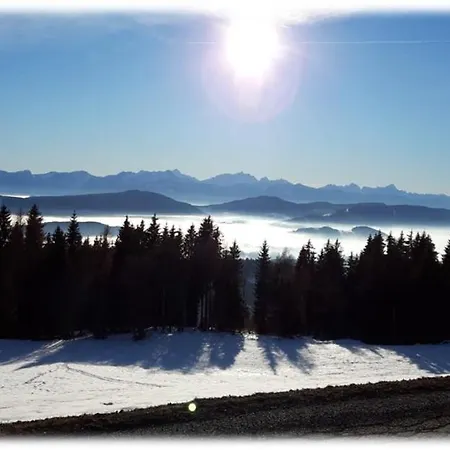 The View Zirkitz